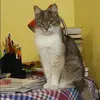 Отзыв от Лера Зубова